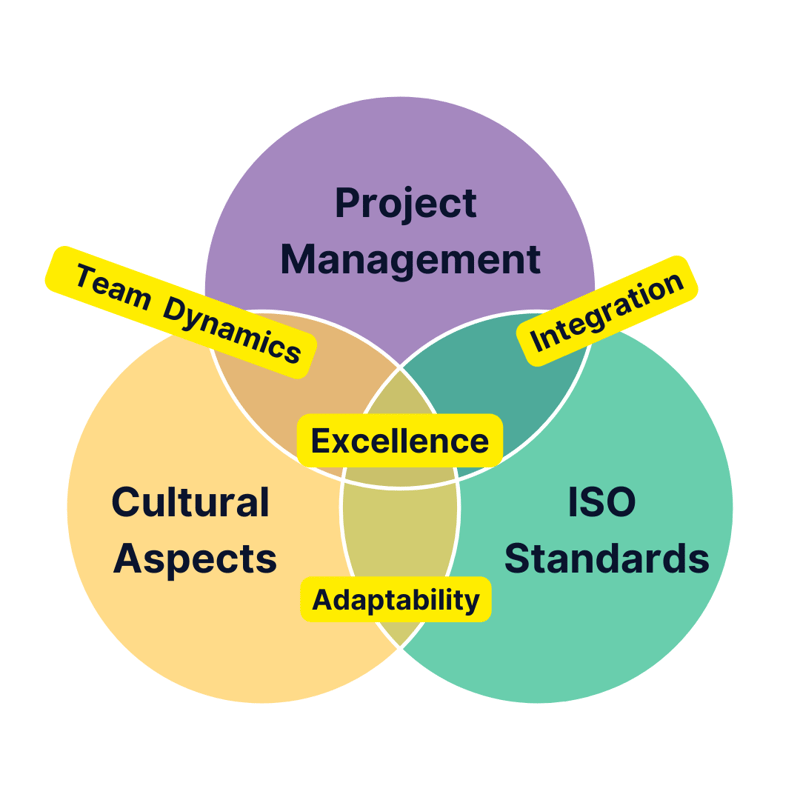 TMP  LTS Diagrams 28 - The Culture-Standard-Management (CSM) Model