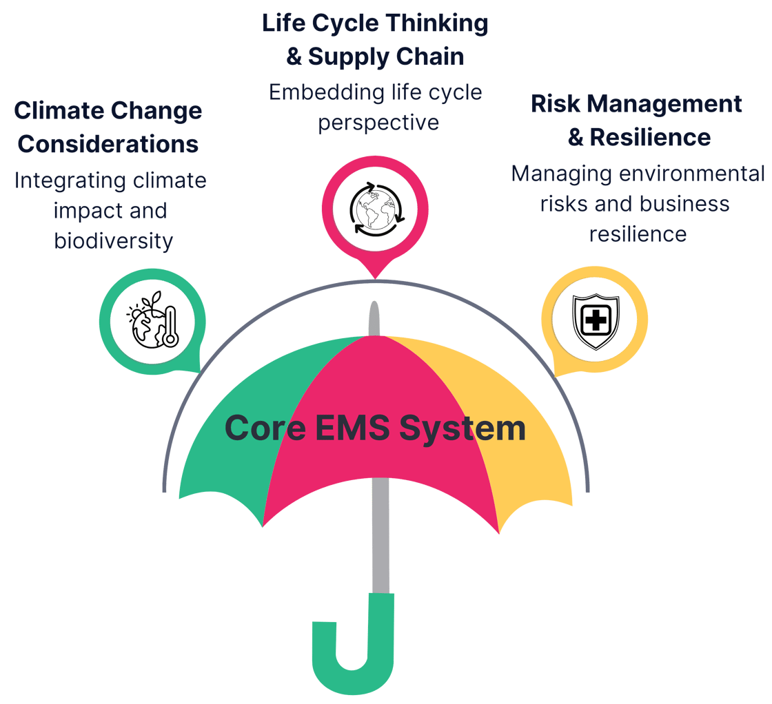 The EMS Stormproof Model